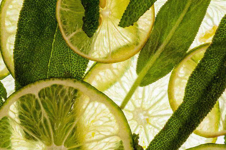 Skincare Ingredients That Do the Most blog post image.