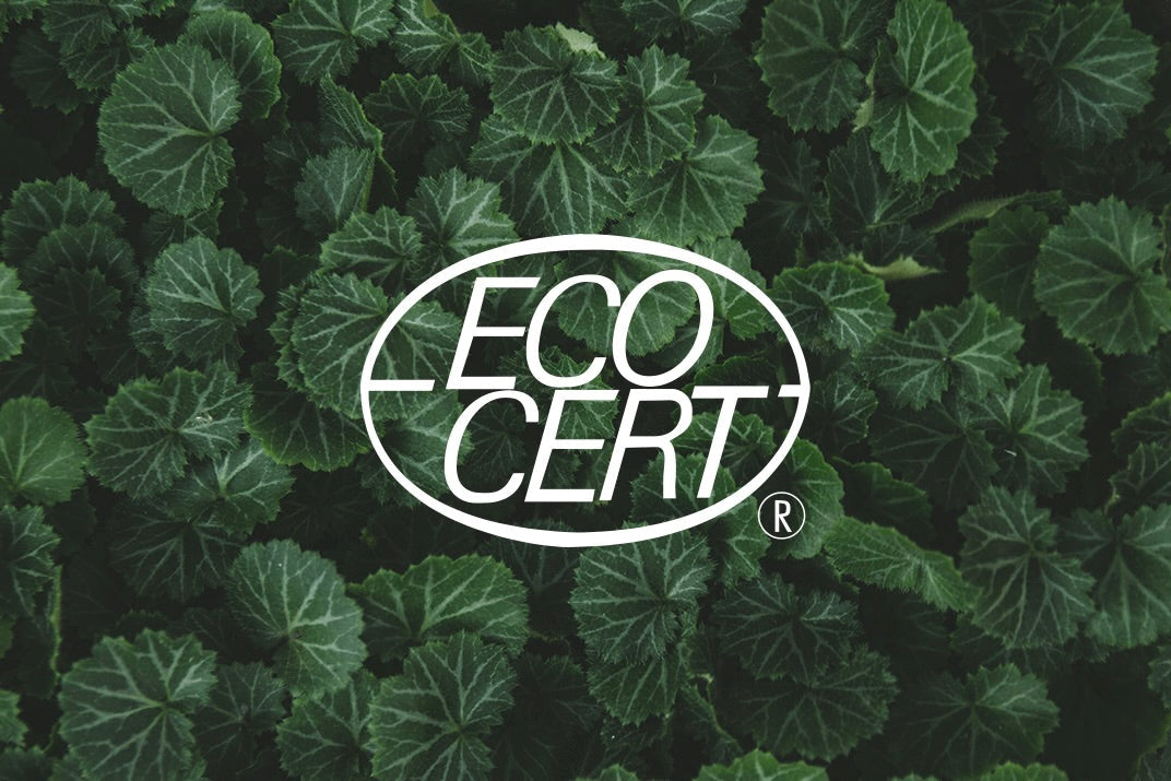 COSMOS & Ecocert blog post image.