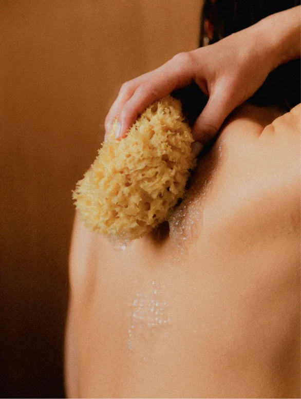 Person using a loofah sponge on their shoulder against a brown background