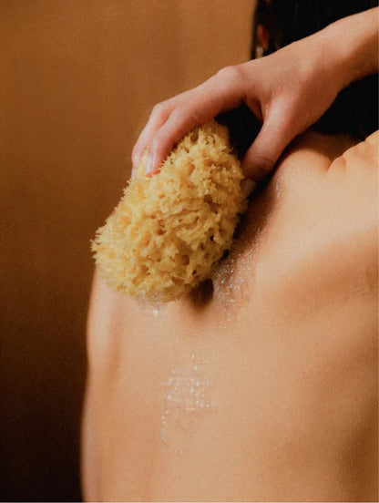 Person using a loofah sponge on their shoulder against a brown background