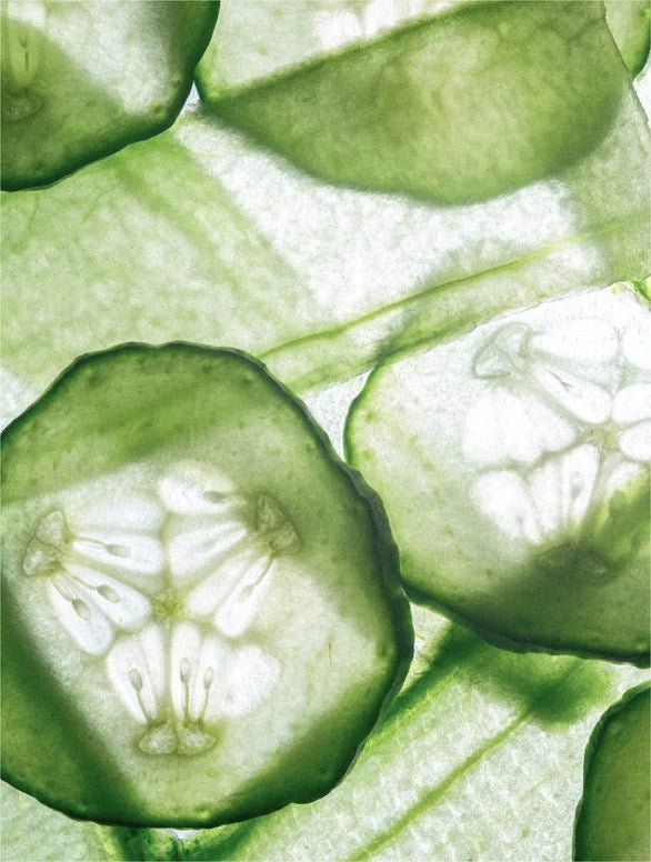 Close-up of sliced cucumbers on a green leafy background