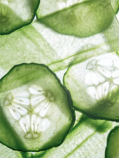 Close-up of sliced cucumbers on a green leafy background
