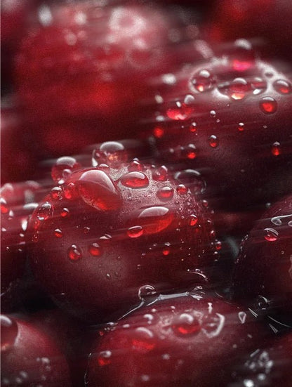 Close-up of red berries with water droplets on a dark background