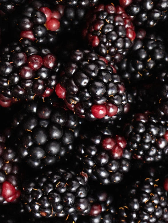 HydraGlow Purifying Cleanser