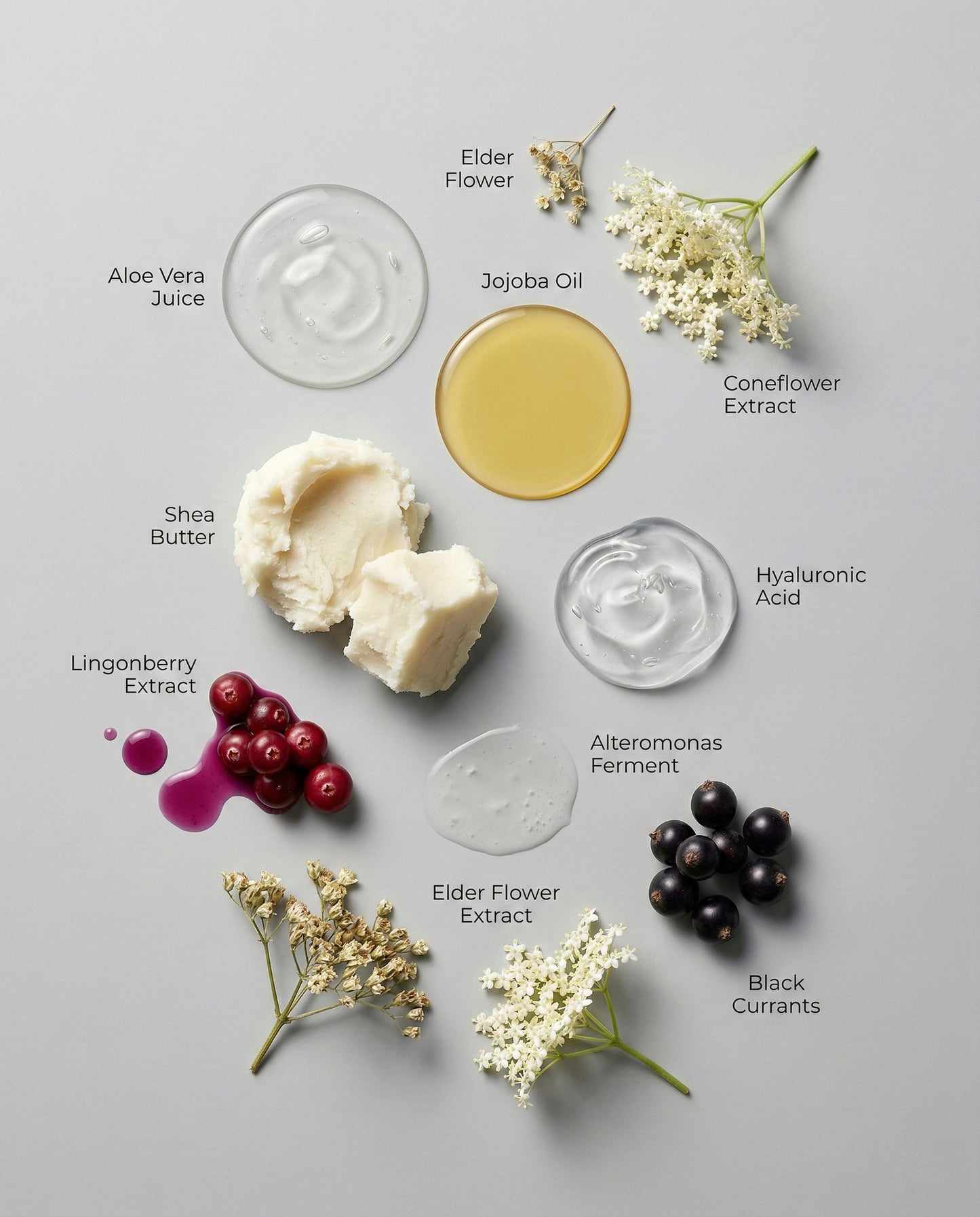 Collection of natural ingredients including aloe vera juice, elder flower, jojoba oil, shea butter, lingonberry extract, black currants, and hyaluronic acid on a gray background.