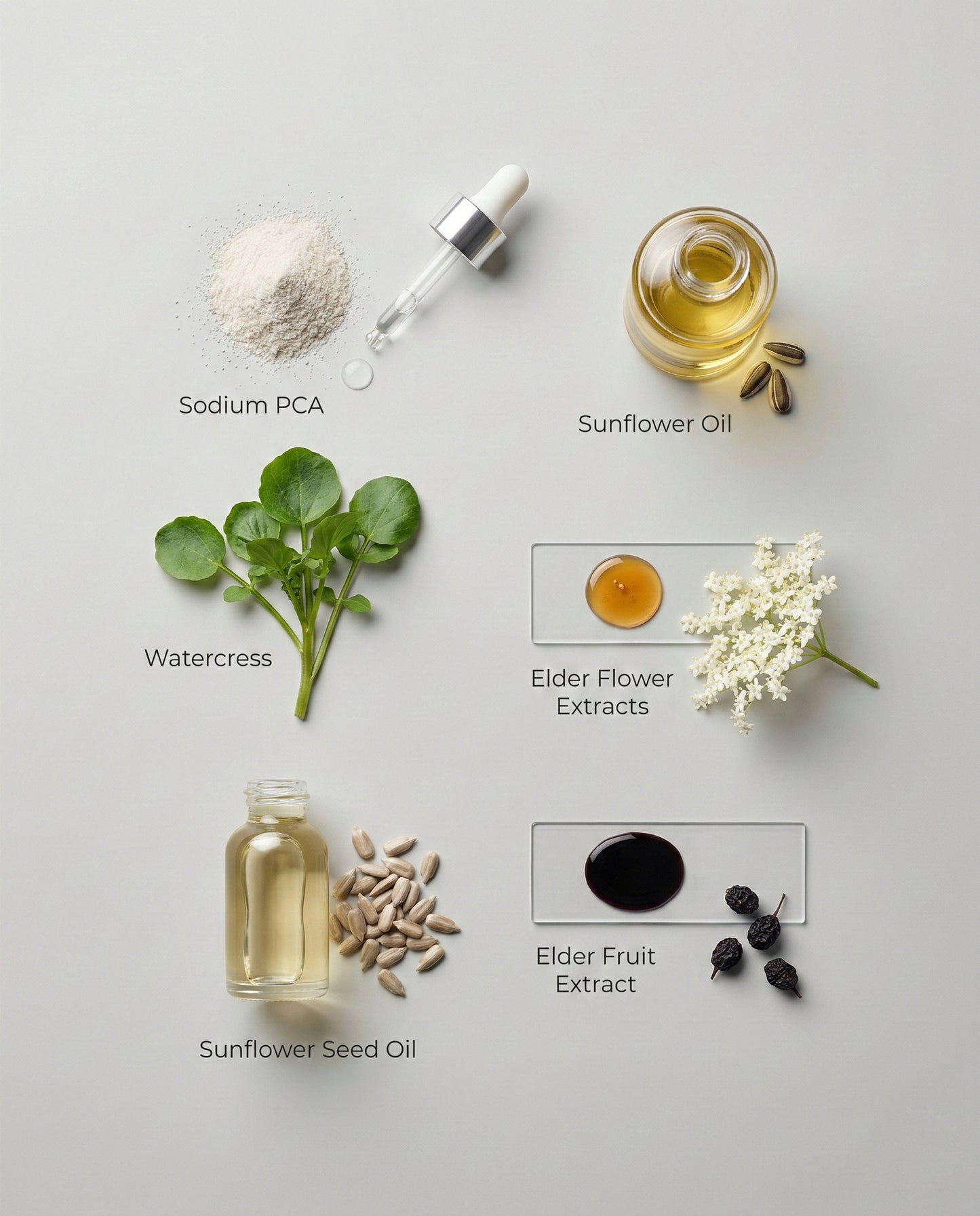 Collection of natural ingredients including sodium PCA, sunflower oil, watercress, elder flower extracts, sunflower seed oil, and elder fruit extract on a light gray background.